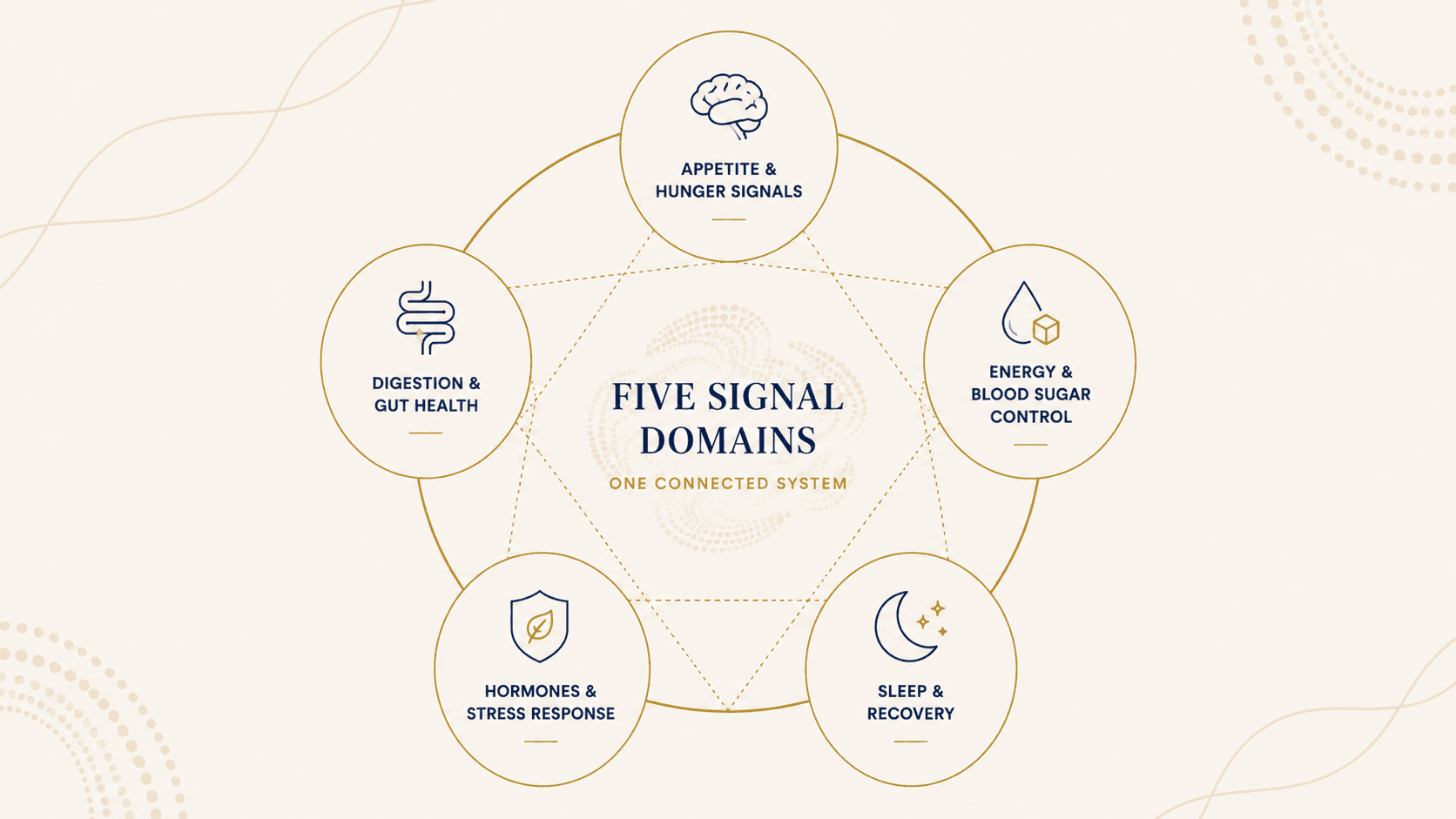 Diagram showing the five metabolic signal domains: Appetite and Hunger Signals, Energy and Blood Sugar Control, Digestion and Gut Health, Sleep and Recovery, and Hormones and Stress Response
