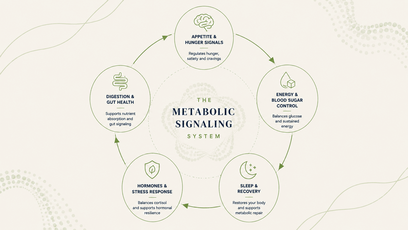 The BeyondGLP Metabolic Signaling System framework showing how five signal domains are assessed and interconnected