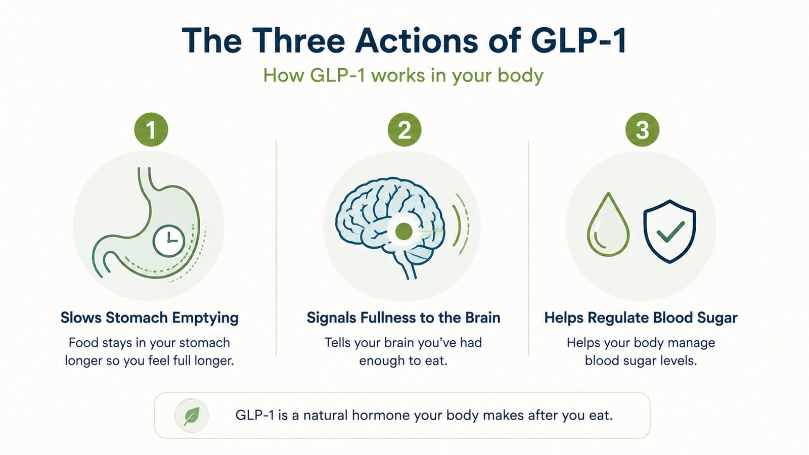 Diagram of the three coordinated actions of GLP-1 in the body