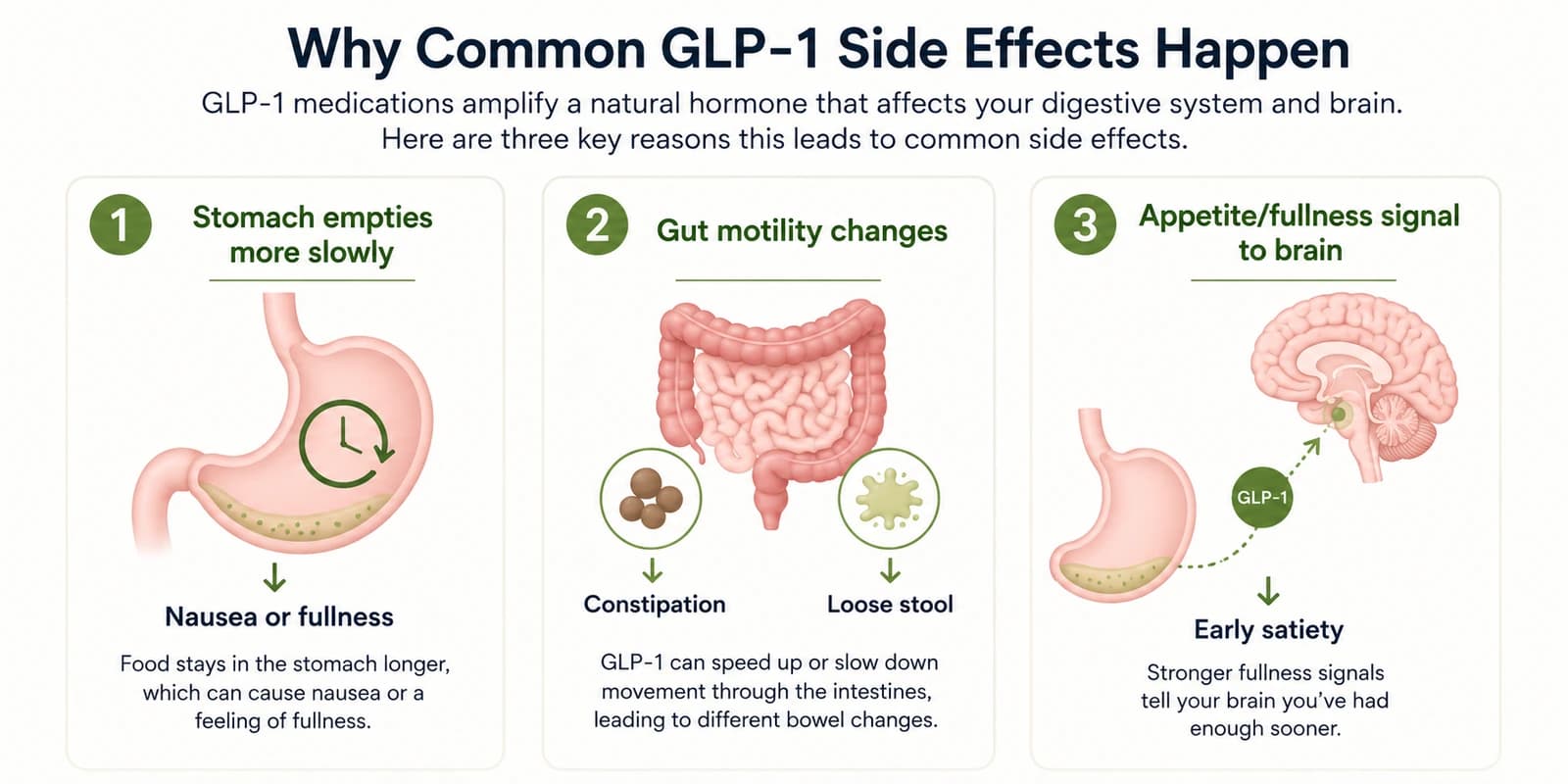 Illustration of how a GLP-1 medication extends the gut's natural satiety signal