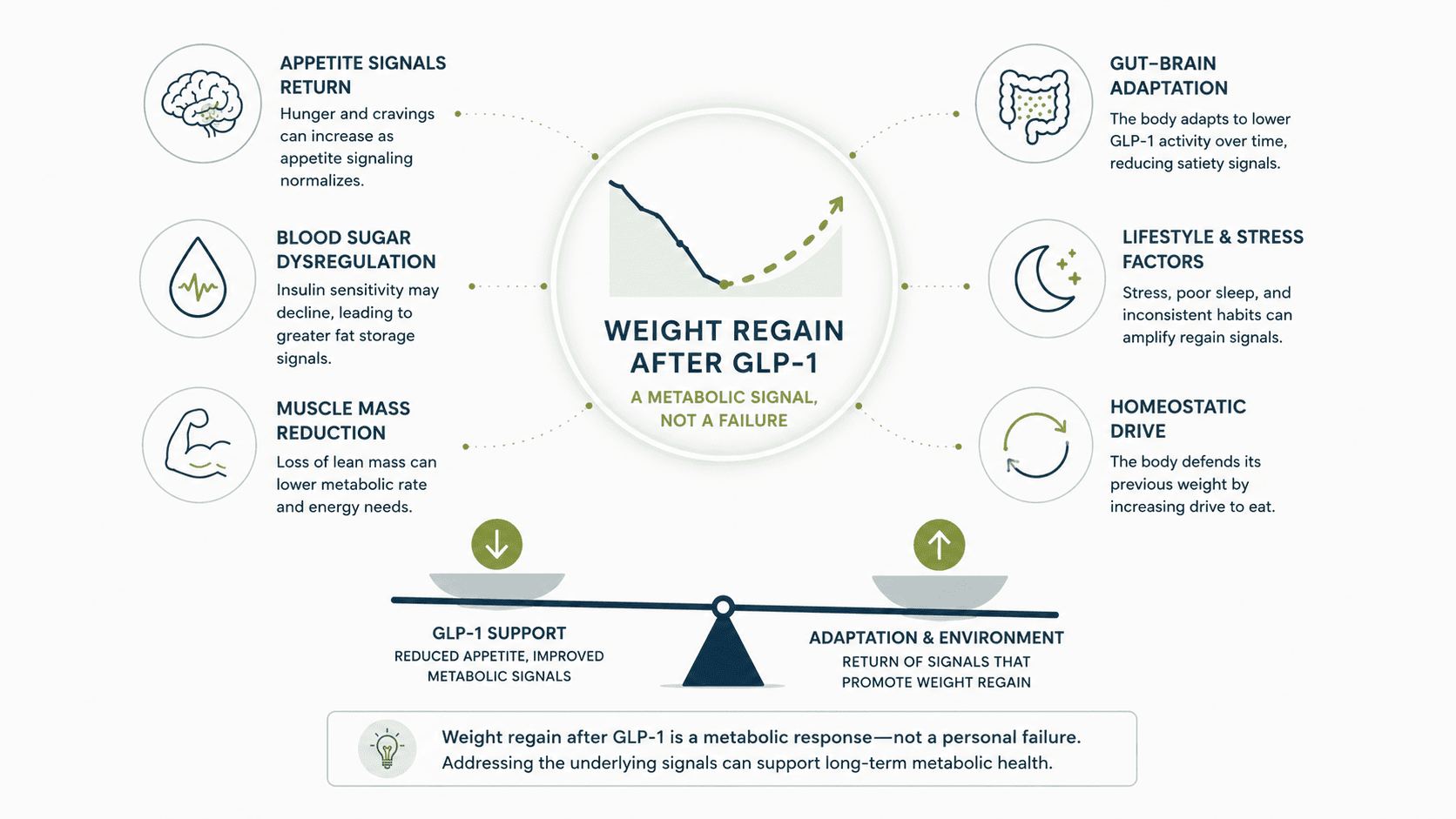 Educational illustration about weight regain after GLP-1 and metabolic health