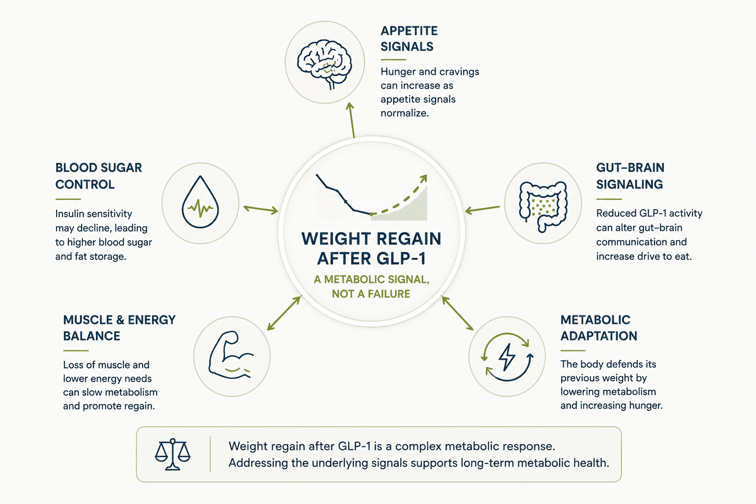 Diagram showing how weight regain after GLP-1 connects to the metabolic signaling system