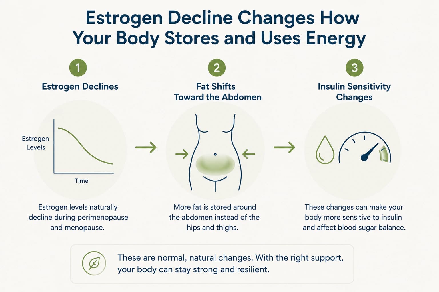 Diagram showing estrogen decline leading to fat redistribution toward visceral fat and reduced insulin sensitivity