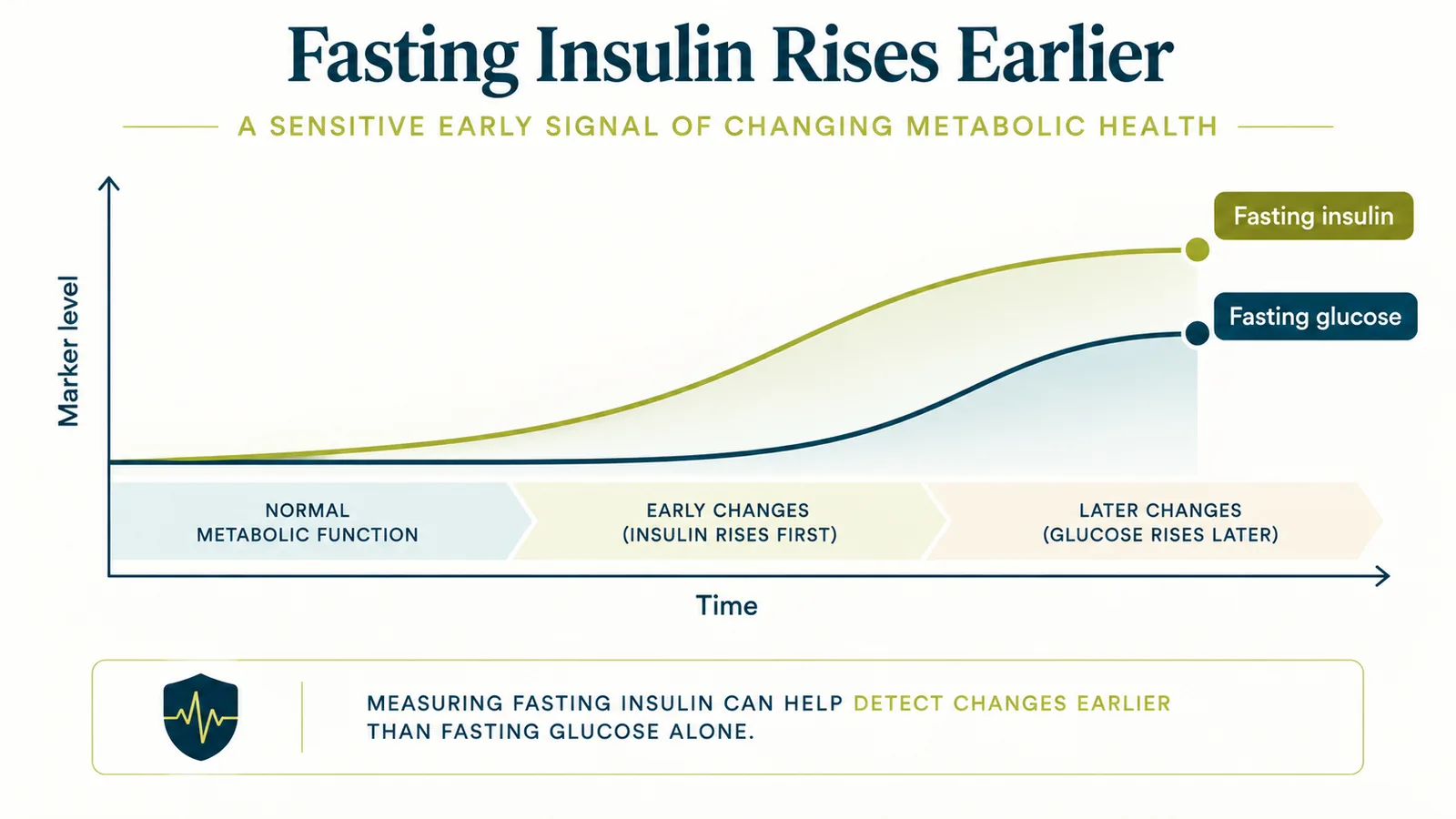 Qualitative timeline illustration showing fasting insulin beginning to rise earlier than fasting glucose, which is why a standard panel measuring glucose alone can miss early changes