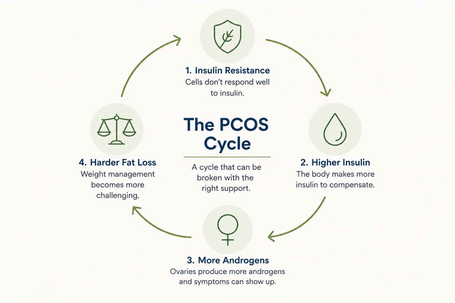 Diagram of the insulin to androgens to symptoms loop in PCOS