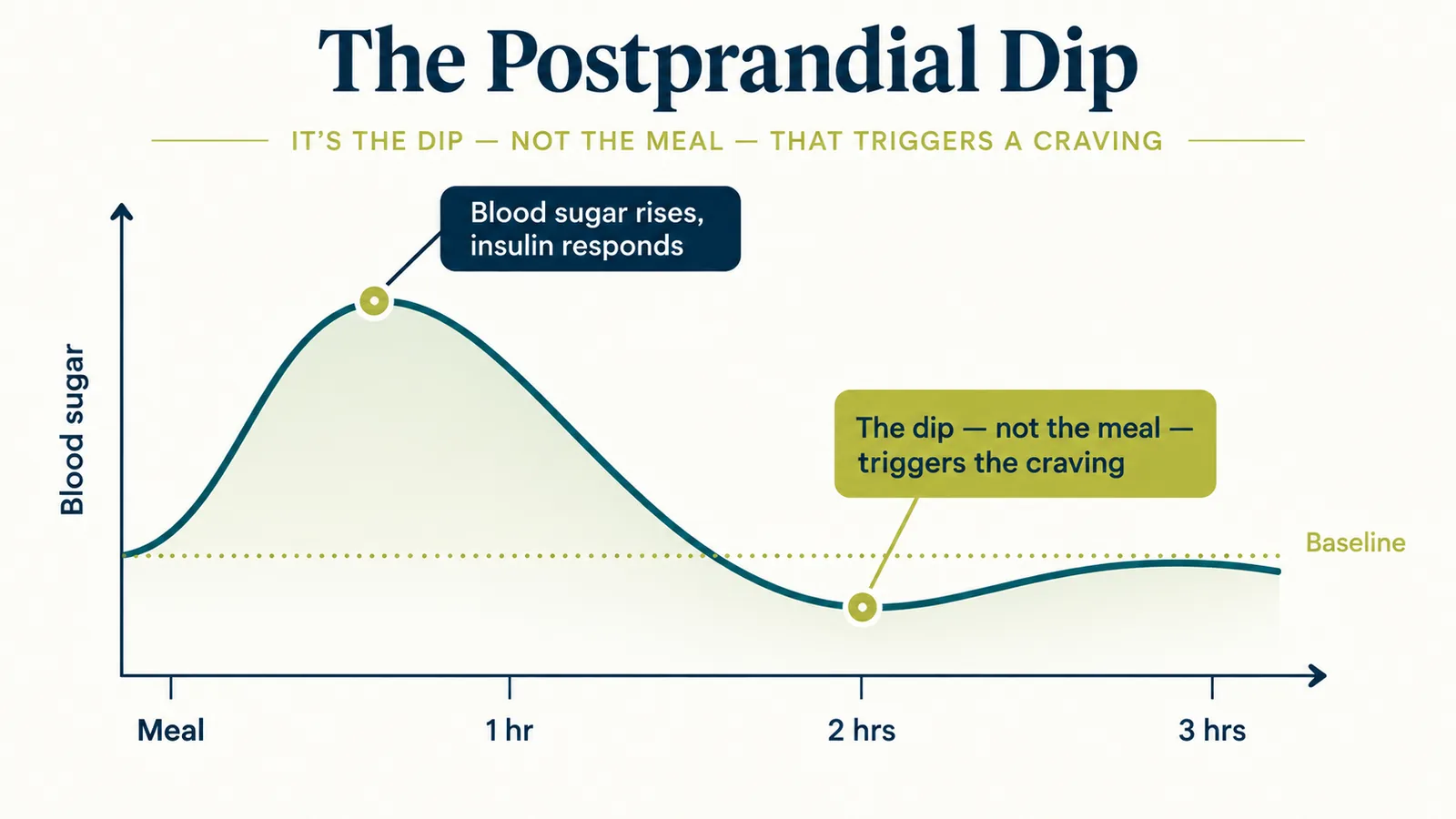 Diagram showing blood sugar rising after a meal, then dipping below baseline about two hours later, which is when a sugar craving typically appears